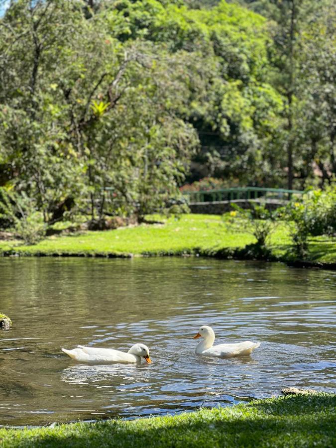 La Casa De Los Patos El Valle de Anton Exteriör bild